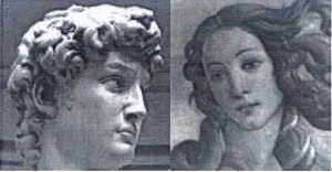 David van Michelangelo en Venus van Botticelli