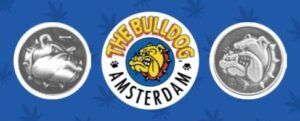 Bulldog – waarom logo registratie